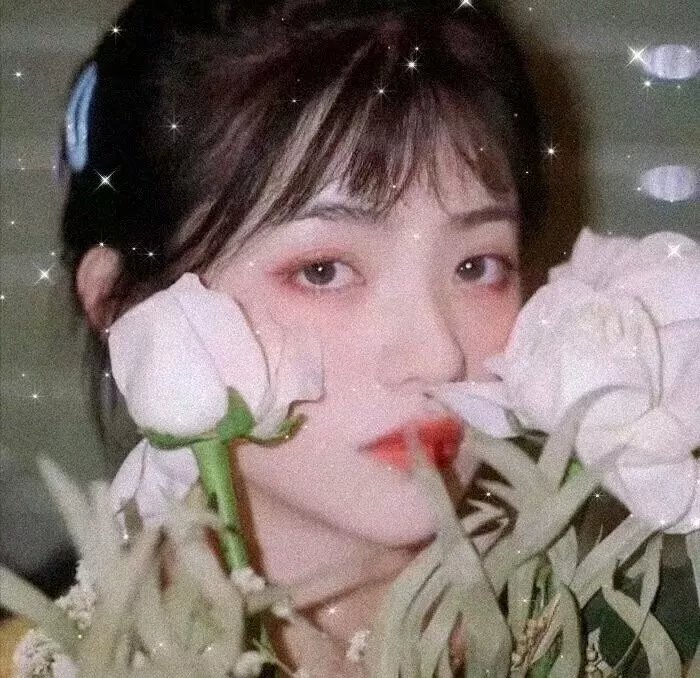 读爱情小说的老人