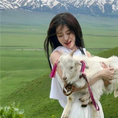 扬尼斯：传奇之旅